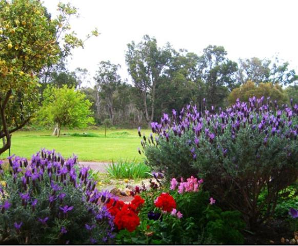Erravilla Country Estate Spa Suite Accommodation Cowaramup Extérieur photo